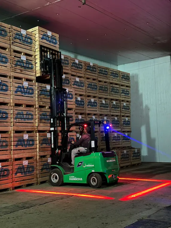 Frigorífico San Vicente